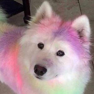 Meet your Posher, Caitlin